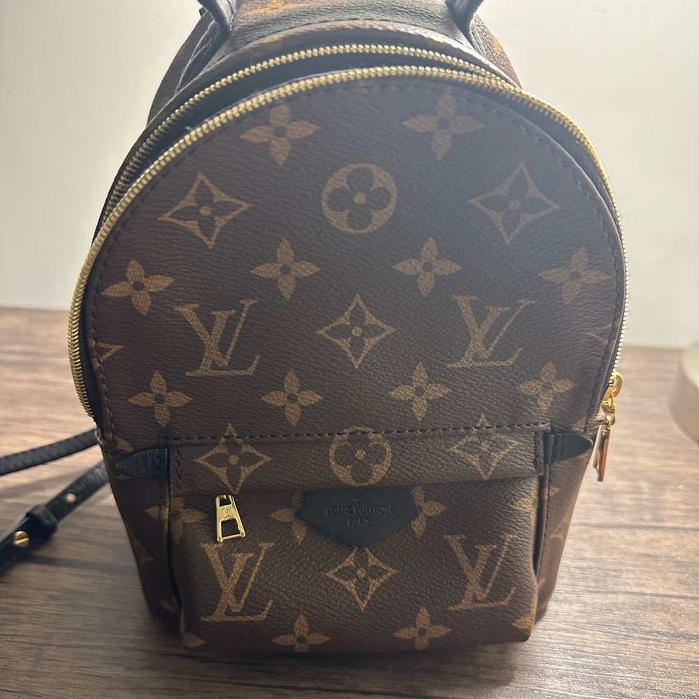 Louis Vuitton Palm Spring Mini